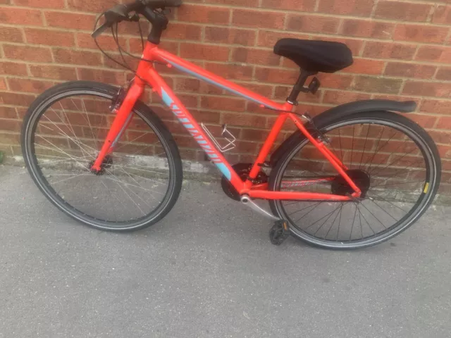 Specialized 17.5 2025 frame