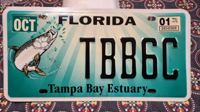 Florida Tampa Bay Estuary license plate  # TBB6C Nice! Tarpon