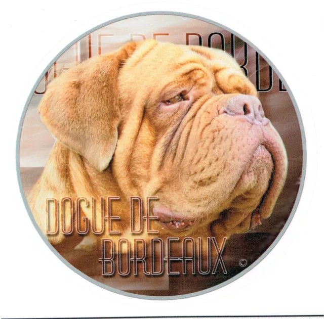 Aufkleber Motiv 2 Dogue de Bordeaux Dogge Bordo Dogge Dog Autoaufkleber Sticker