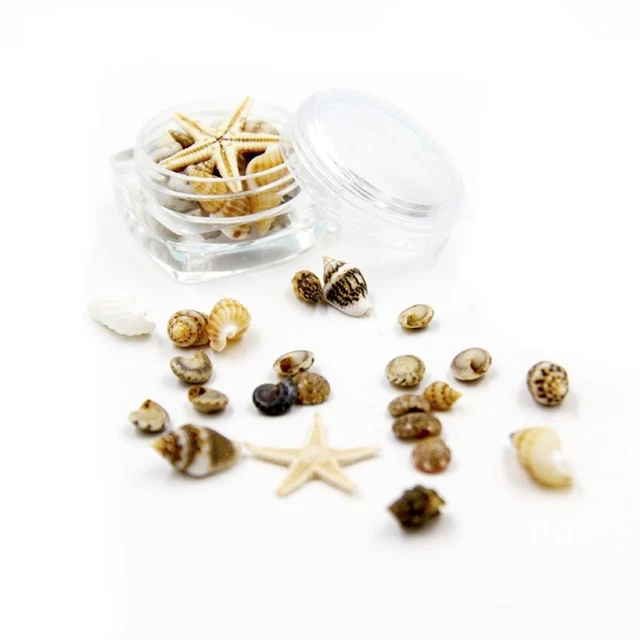 Tiny Natural Mixed Ocean Sea Shells Seashells NO Hole Craft Fish for