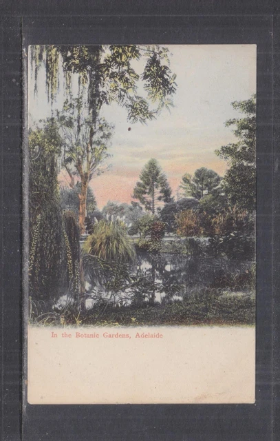 SOUTH AUSTRALIA, ADELAIDE, BOTANIC GARDENS, c1910 ppc., unused.