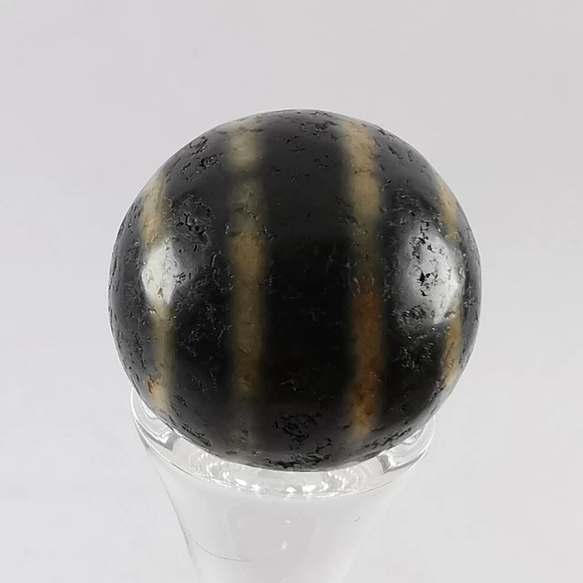 Pumtek Pyu Ghost 2 Eye Agate Bead DZI Indo Tibetan 19MM #471 10