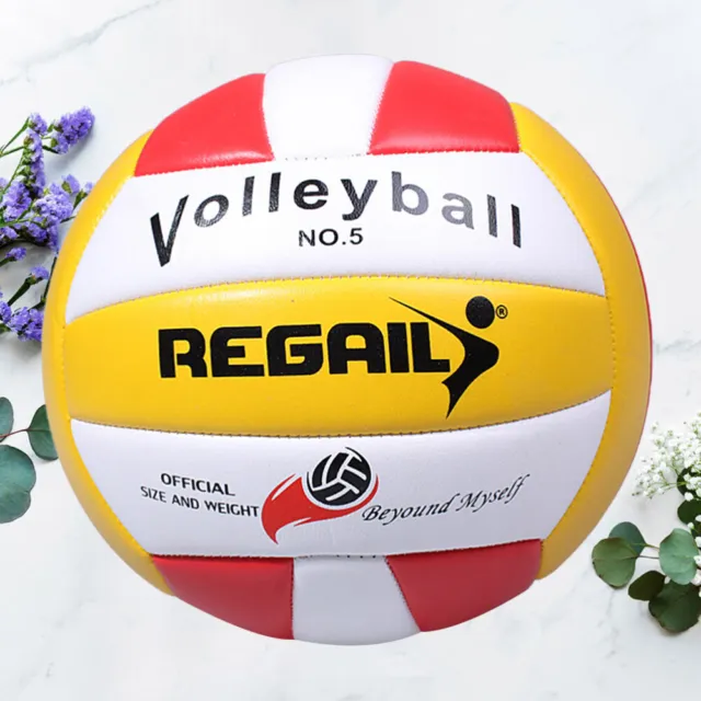 Beach Ball Game Volleyball Party Favors Large Soft Standard Games