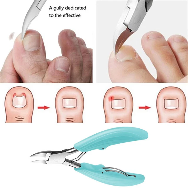 Toile Fleurs Plantes Peinture Corn Poppy Cuir Porte-clés En Métal Bague