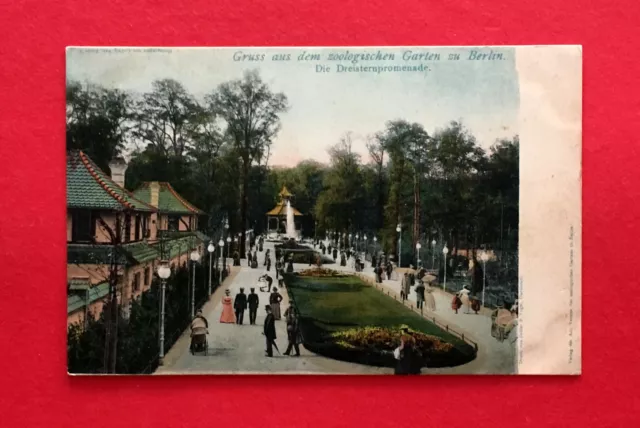 AK Zoo BERLIN um 1900 Zoologischer Garten Dreisternpromenade   ( 53881