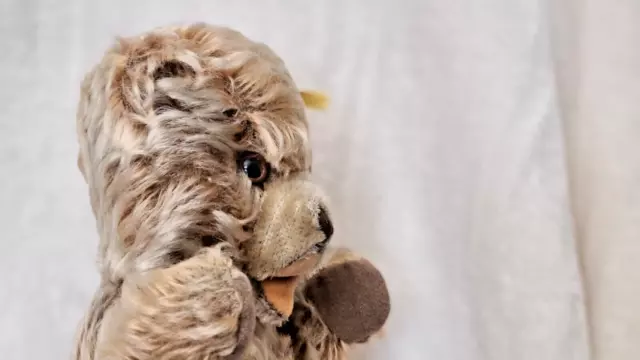 steiff schöner sehr alter Teddybär 24cm caramel meliert Mohair offener Mund KF 3