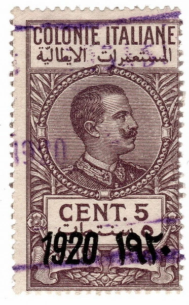 (I.B) Italy (Libya) Revenue : Duty Stamp 5c (1920)
