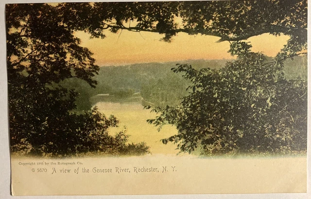 Rochester NY View Genesee River Antique Postcard Vintage New York