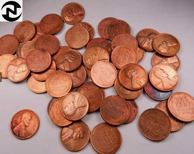 1953-D Lincoln Wheat Penny Cent Roll ~ 50 Coins ~ (R45)