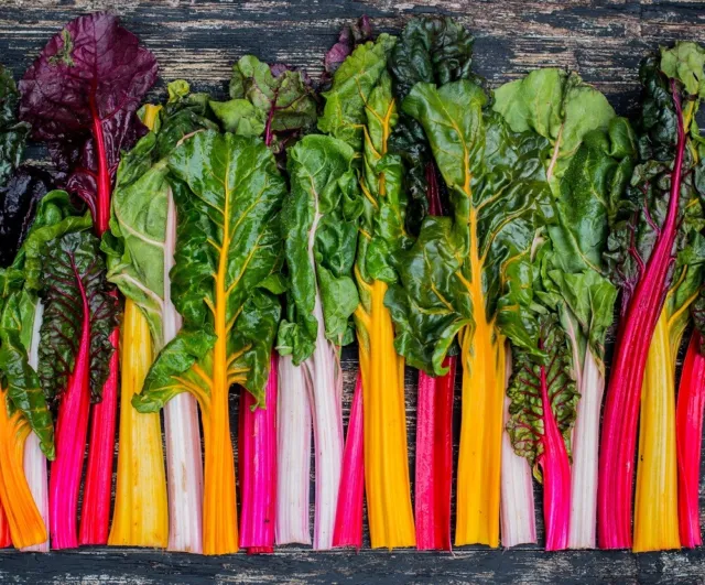 Rainbow Swiss Chard Seeds | Heirloom & Non-GMO | Fresh Garden Seeds