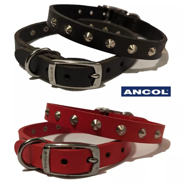 Ancol Studded Leather Dog Collar Black or Red Heritage 20-26cm Small Puppy