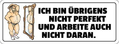 Schild Spruch "Ich bin nicht perfekt" 27 x 10 cm Blechschild