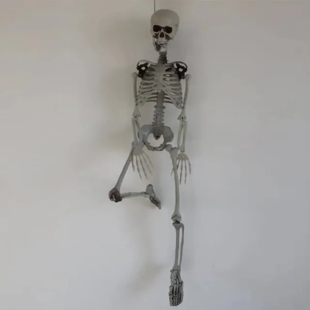 fr Halloween Scary Skull Decor Full Size Skeleton Hand Bone Home Party Decoratio