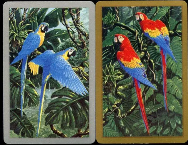 Vintage Swap Cards Troppical Birds Silver And Gold Boarder New Condition