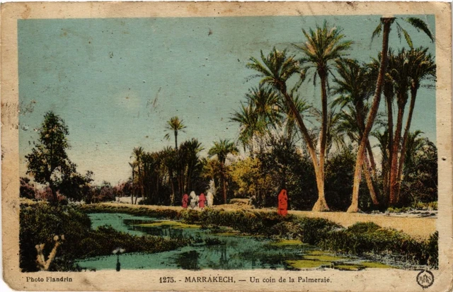 CPA Maroc MARRAKECH - Un coin de la Palmeraie (219575)