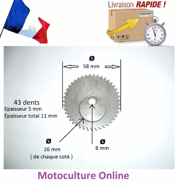 Pignon d'entrainement pour lames de taille haie orientable de multifonctions