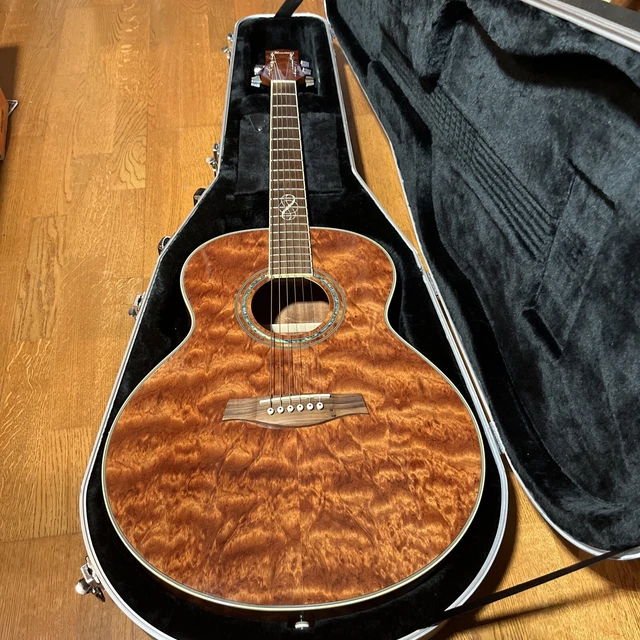 Used Ibanez EW20BGNT1201 w/case Excellent Condition