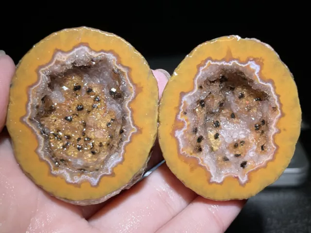 A Pair Rough Agate / Achat Nodule Chinese Fighting Blood Agate Xuanhua 80G Y65
