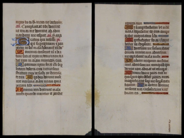 Illuminierte Grafia Su Pergamena Foglia Di Uno Miniatura Um 1500 (072)