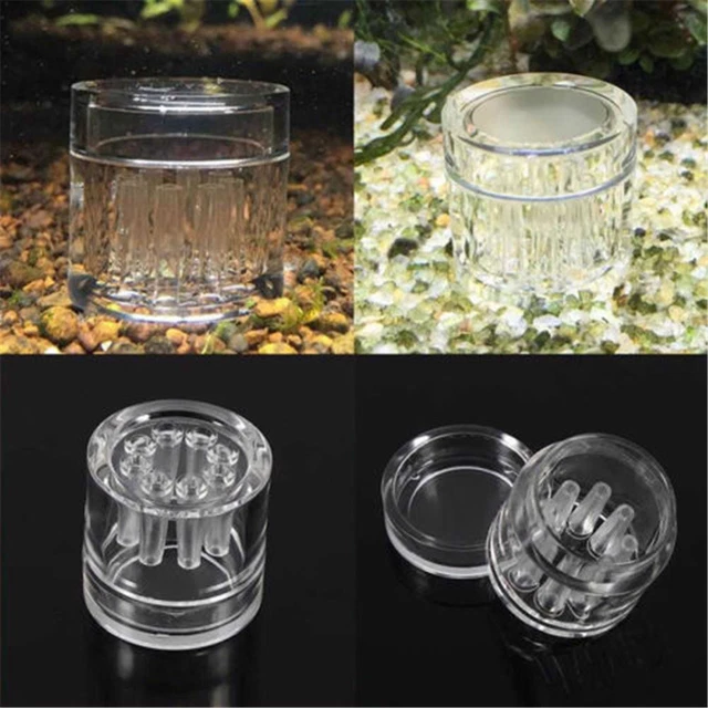 8 Hole snail trap free bait for aquarium fish plants tank Planaria.qVF
