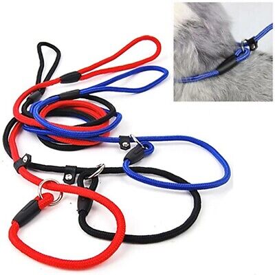 Adjustable Strong Nylon Slip On Rope Dog Puppy Pet Lead Leash No Collar Needed