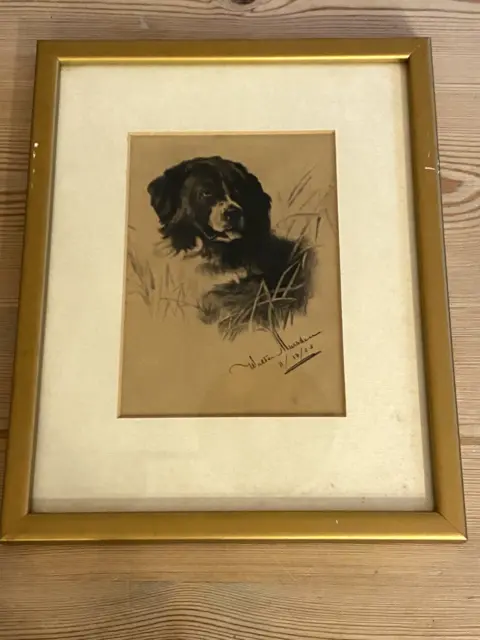 Rare Antique Newfoundland Dog Drawing Signed By Artist And Dated 1904 Painting