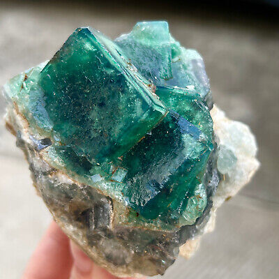 690GNatural super beautiful green fluorite crystal ore standard sample DS161