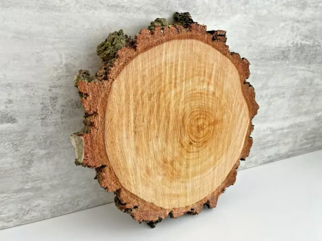 Baumscheibe Birke Vintage Holzscheiben Deko Bastelholz verschiedene Größen