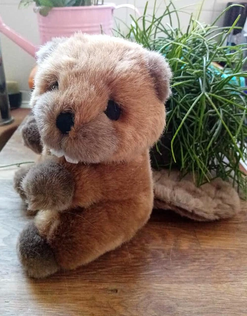 Peluche castor ikea discount