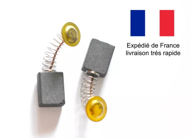 Charbons Balais Brosse Carbone pour moteur électrique génériques. une paire.