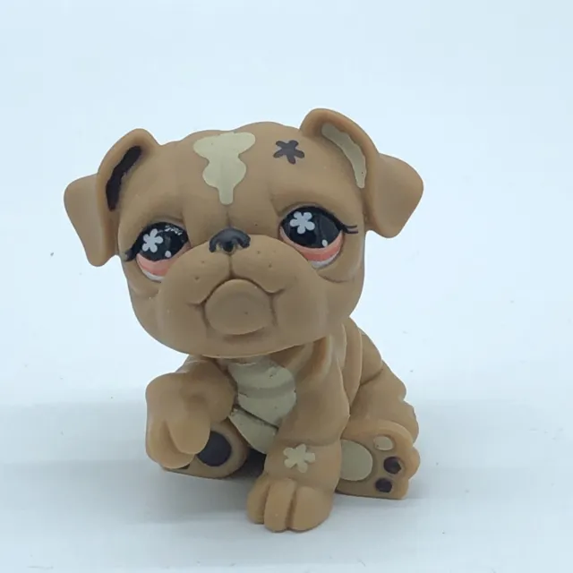 BULLDOG DOG #607 - Authentic Littlest Pet Shop - Hasbro LPS Brown Flower