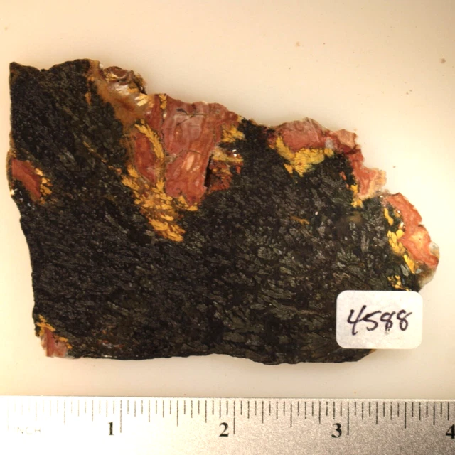 Eagle Rock Psilomelane Agate Lapidary Slab #4588