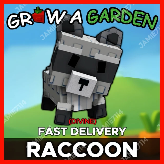 RACCOON | CLEAN NON DUPE |🪴Grow a Garden ‼️FAST & EASY DELIVERY‼️ £9.95 ...