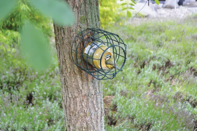 Bird Peanut Butter Feeder Squirrel Proof Green Metal