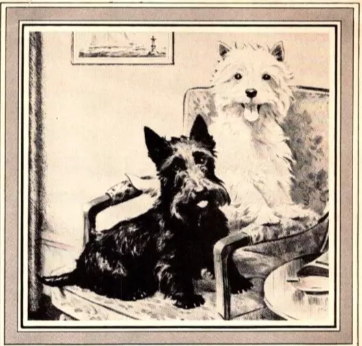 PRINT AD 1939 Black & White Scotch Whisky Westie Scotty Dogs in Chair Character