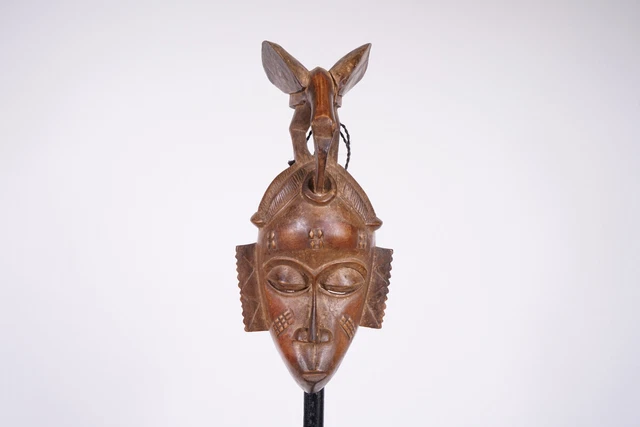 Attractive Baule/Yaure Mask 13.25" - Ivory Coast - African Tribal Art