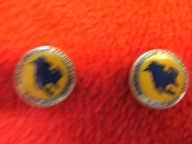 Vintage Chicago IL North American Accident Insurance Company Pair Of Cufflinks