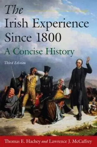 The Irish Experience Since 1800: A Concise History: A Concise History by Hachey