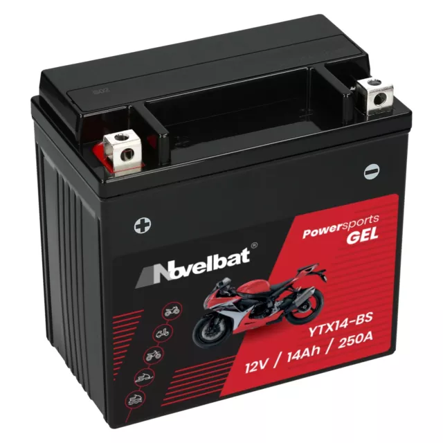 Motorradbatterie YTX14-BS 12V 14Ah GEL Novelbat CTX14-BS GTX14-BS 51214 YTX14-4