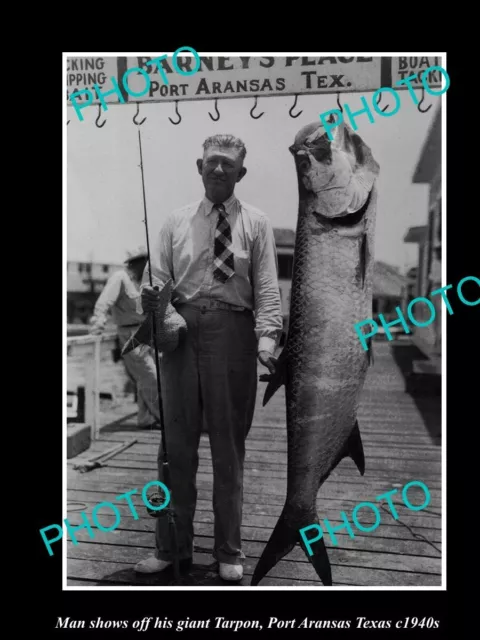 Old Historical Fishing Photo Man With His Giant Tarpon Port Aransas Texas 1940