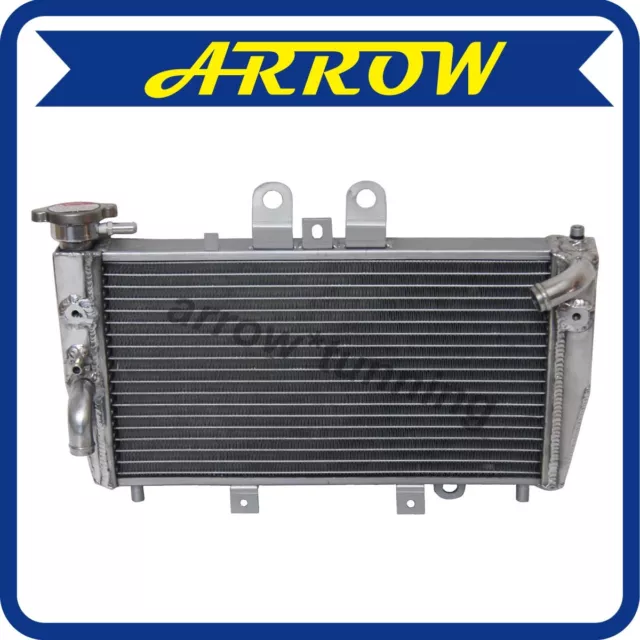 Aluminum Radiator Intercooler For Triumph Speed Triple 955i 2002 2003 Silver