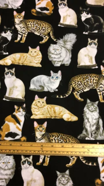 Fat Quarter Katze Kostüm Katzen Auf Schwarz 100% Baumwolle Quilt Stoff