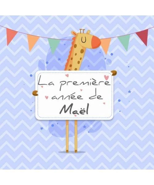 L'album Bébé De Larousse - Livre