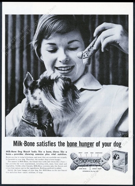 1959 schnauzer photo Milk Bone dog biscuits vintage print ad