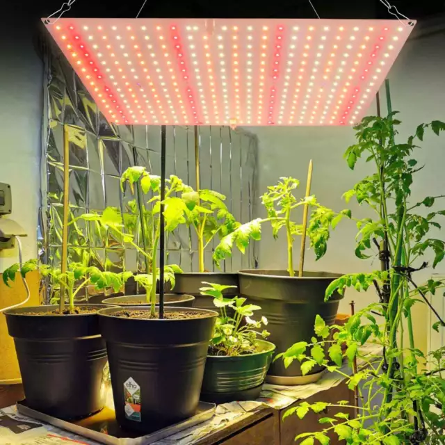Pflanzenlampe LED Pflanzenleuchte Voll Spektrum Wachstumlampe Pflanzenlicht 65W 2