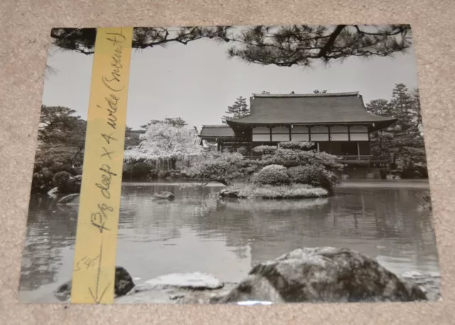 Original Japanese Tourist Photo Japan From San Francisco Examiner Vintage