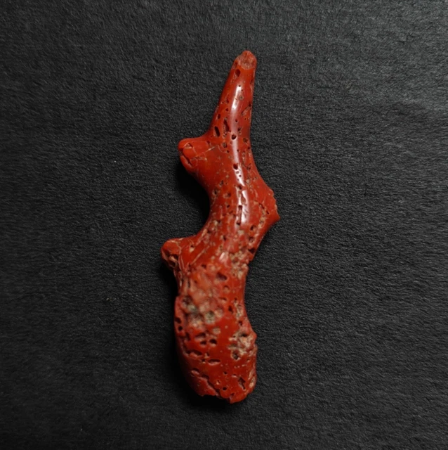 Pierre Brute De Corail Naturel Rouge Poli – Branche De Corail D'Italie, 8 Carats