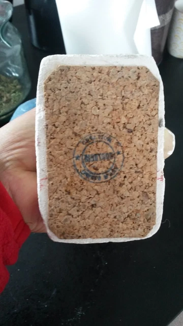 Rare Buste Ancien  De Nefertiti Egypte Platre Peint 14
