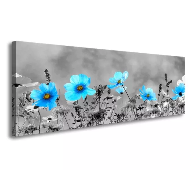 Bilder Leinwand 120 x 40 Blumen blau auf Rahmen Wandbild Visario Bild 5733