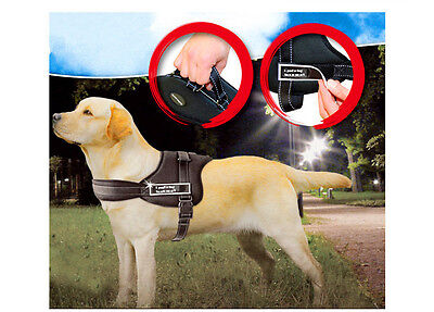 Pettorina Imbracatura Guinzaglio Per Cani Sport Dog Harness Con Maniglia Size M
